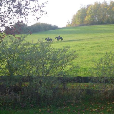 Natur Pur Mit Fernblick Fuer Wanderfreunde Bad Sachsa Exterior foto