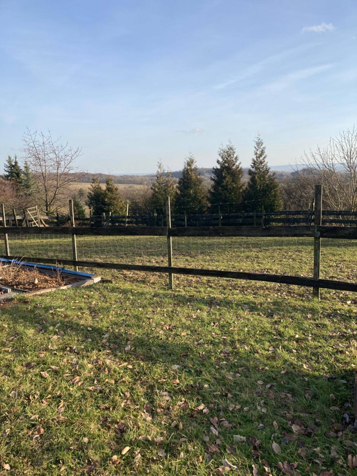 Natur Pur Mit Fernblick Fuer Wanderfreunde Bad Sachsa Exterior foto